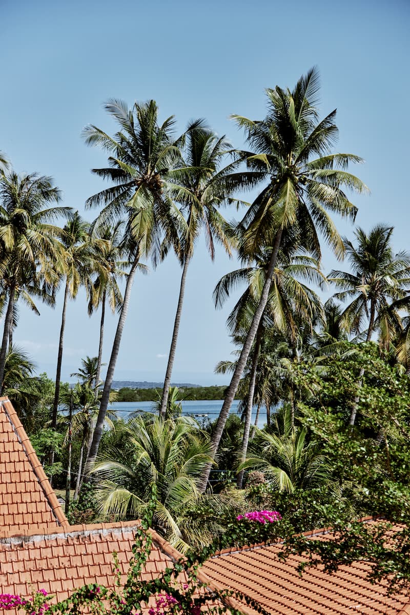 Ocean view from Mangroove Bay